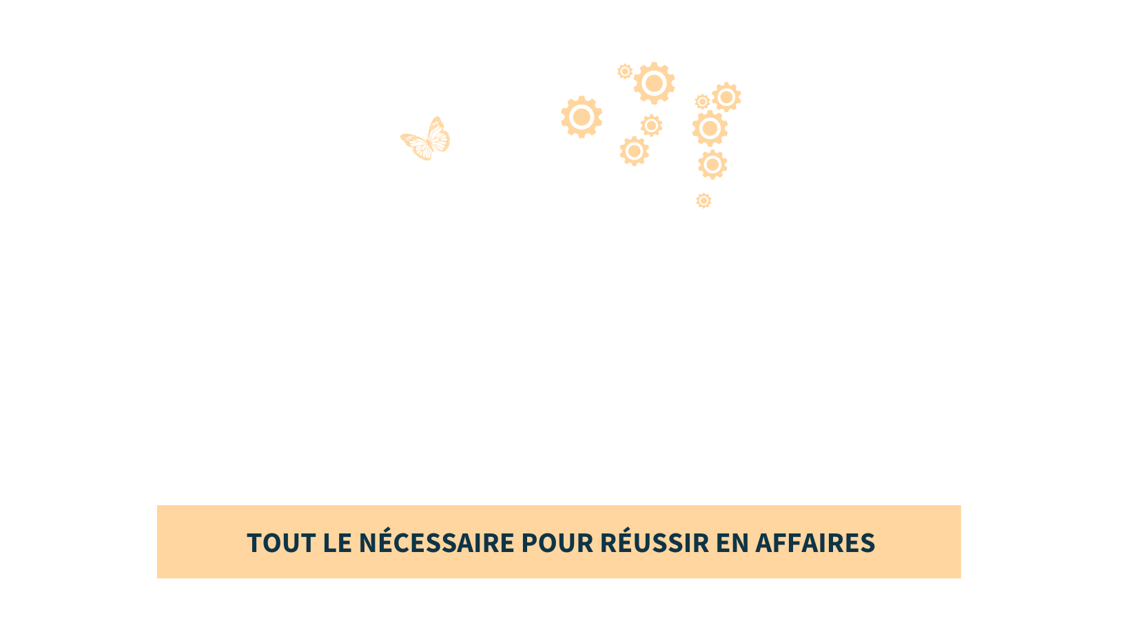 Cerveau - Header facebook